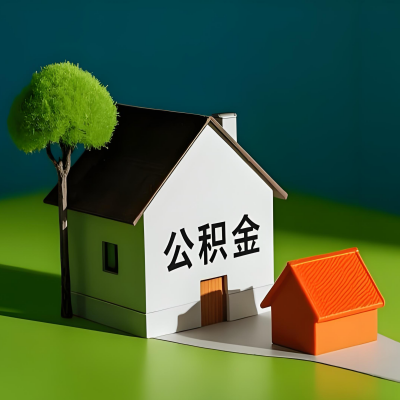 安阳大额公积金代提取有不一样流程及不一样的方案攻略在这里！